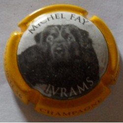 Fay Michel n°17b ivrams ctr...