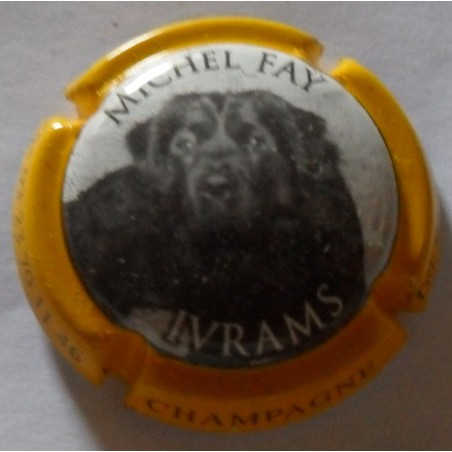Fay Michel n°17b ivrams ctr jaune