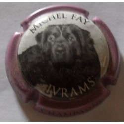 Fay Michel n°17c ivrams ctr...