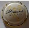Flamand père et fille n°5 contour jaune