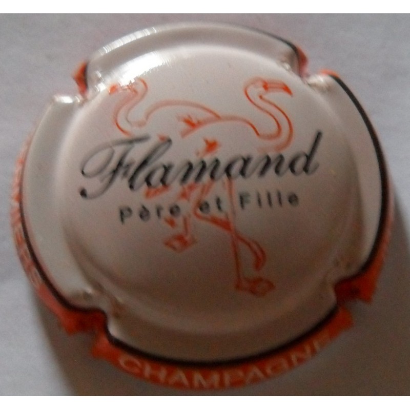 Flamand père et fille n°6 contour orange