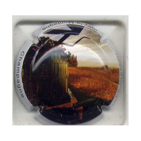 Rilly la Montagne n°72c le pressoir 4/6