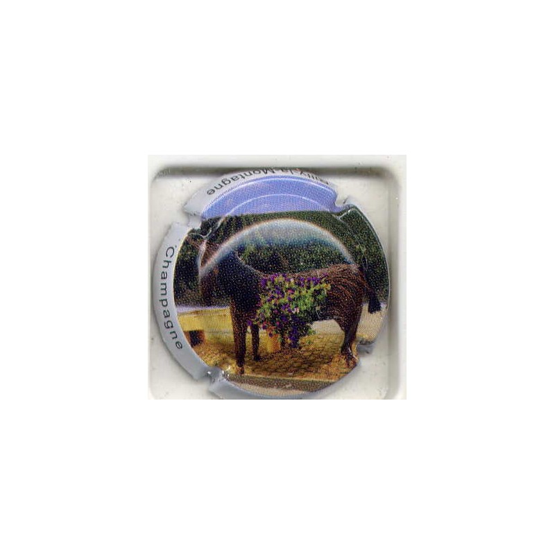 Rilly la Montagne n°72d le cheval 5/6