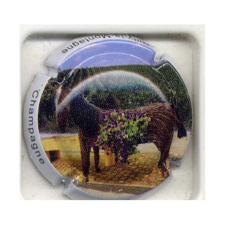 Rilly la Montagne n°72d le cheval 5/6
