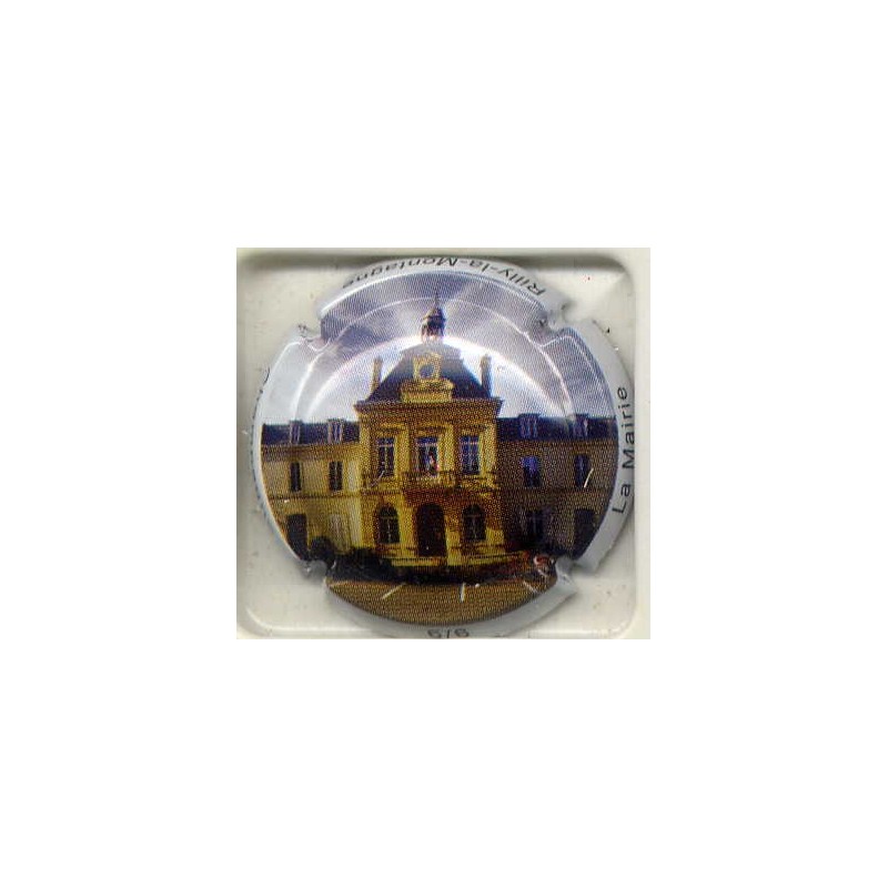 Rilly la Montagne n°72e la mairie 6/6