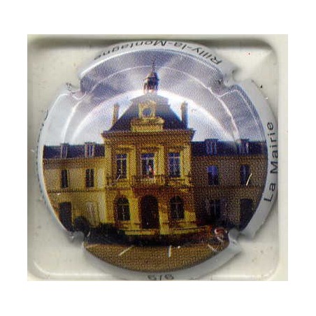 Rilly la Montagne n°72e la mairie 6/6