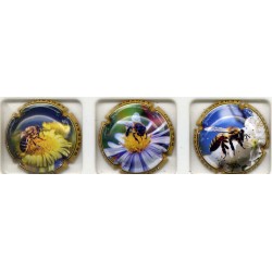 Lagache Brateau les...