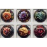 .Générique inspiration florale nouvelle série de 6 capsules