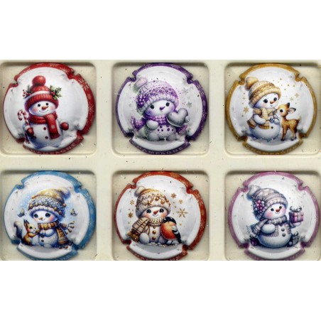 .Générique Bonhomme de neige nouvelle série de 6 capsules