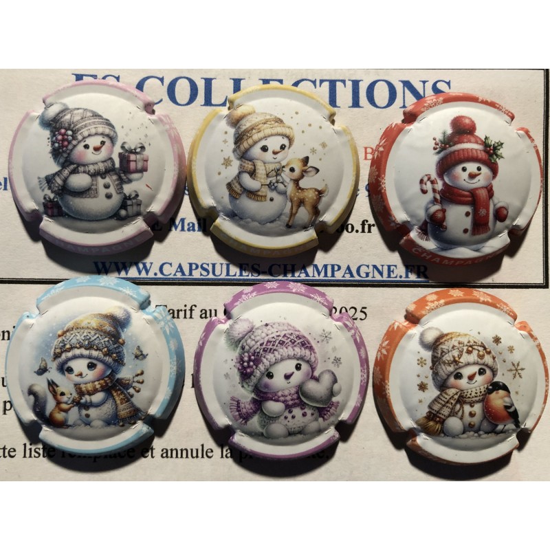 .Générique Bonhomme de neige nouvelle série de 6 Jéro