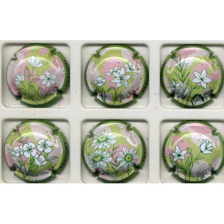 Piot isabelle fleurs nouvelle série de 6 capsules