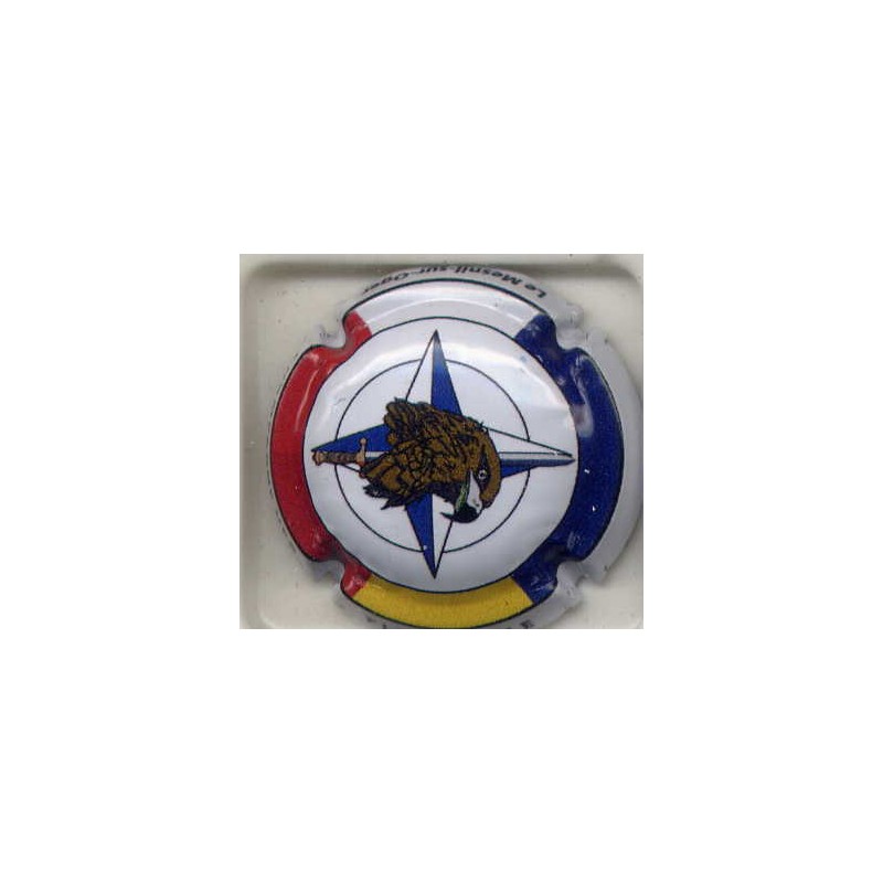 UPR nouvelle capsule FLFBG Aigle (Bataillon de l’otan commandement français)