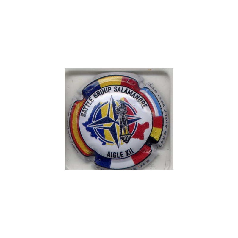 UPR nouvelle capsule FLFBG aigle 501e RCC (régiment chars de combat)