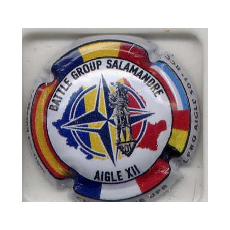 UPR nouvelle capsule FLFBG aigle 501e RCC (régiment chars de combat)