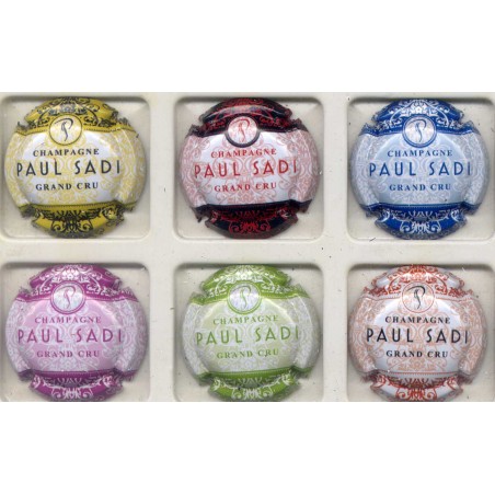 Paul Sadi nouvelle série de 6 capsules