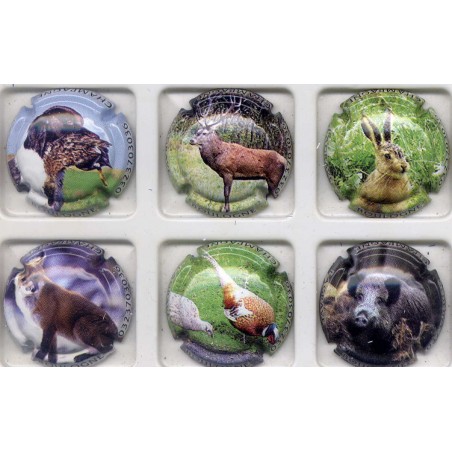 Lagrave-Boulogne n°13 à 13e chasse 6 capsules