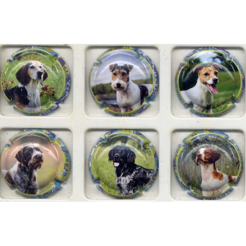 Thibaut Hérault Chiens nouvelle série de 6 capsules