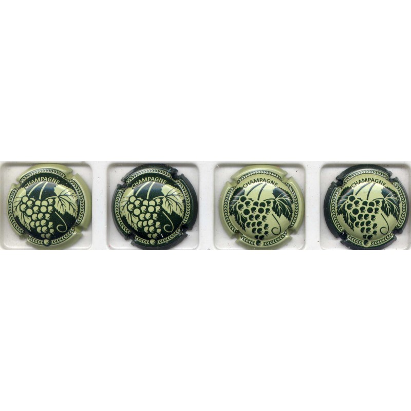 .Générique grappe nouvelle série de 4 capsules