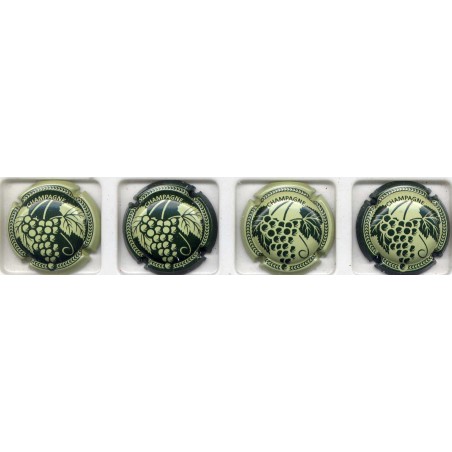 .Générique grappe nouvelle série de 4 capsules