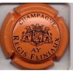 Fliniaux régis fond orange