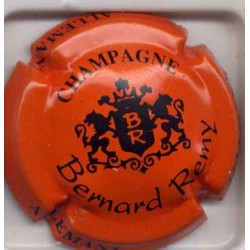 Bernard rémy fond orange