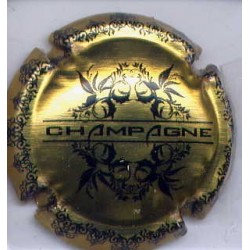  Générique champagne 1 quart de capsules de champagne