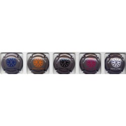 Haton et filles fond gris série de 5 capsules de champagne